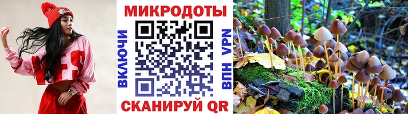 Галлюциногенные грибы мицелий  Калуга 